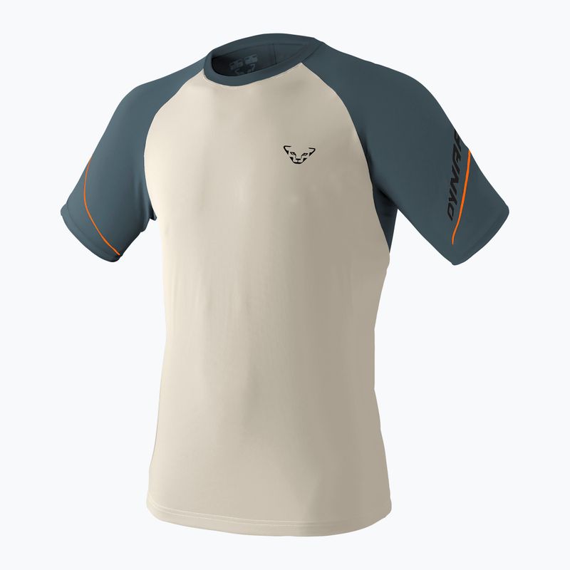 Men's running shirt DYNAFIT Alpine Pro overcast/0720 4