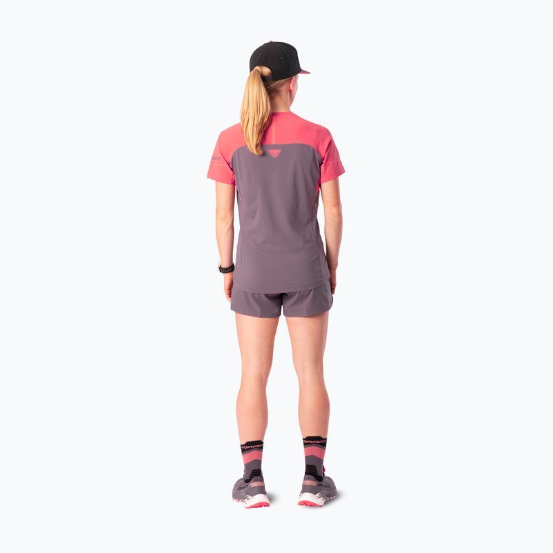 Women's running shirt Dynafit Alpine Pro SS Tee cabana/6A90 2