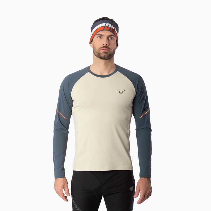 Men's running longsleeve DYNAFIT Alpine Pro cinder overcast/7960