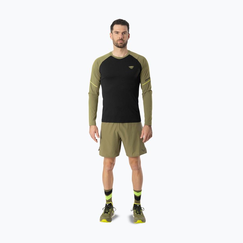Men's running longsleeve DYNAFIT Alpine Pro military green/0910 2