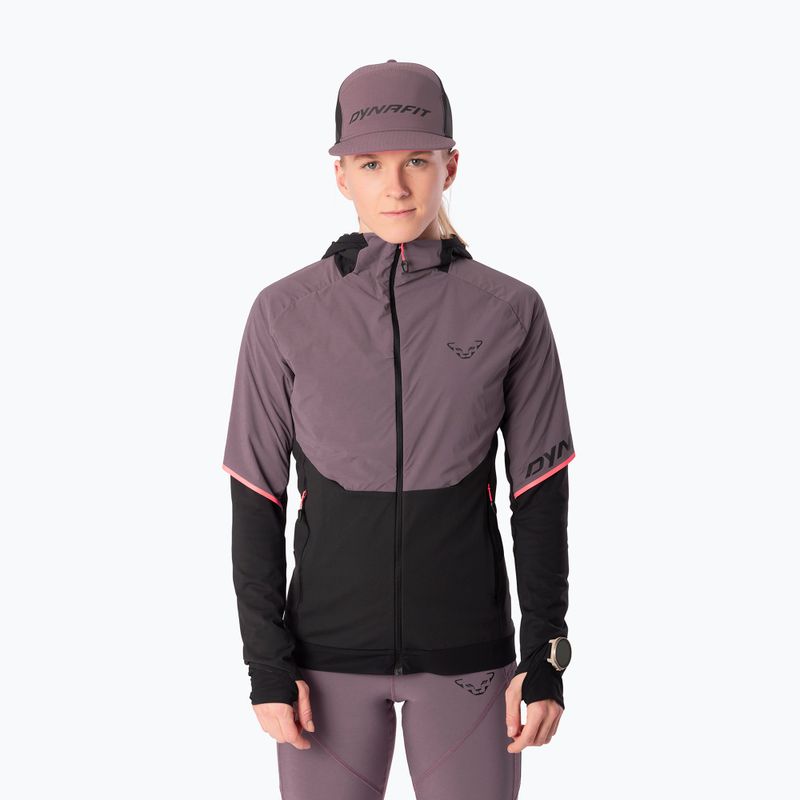 Women's running jacket DYNAFIT Alpine Hybrid ephemera/0910