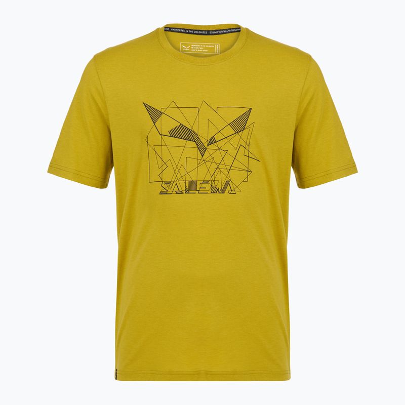 Men's T-shirt Salewa Eagle Geometric olive oil