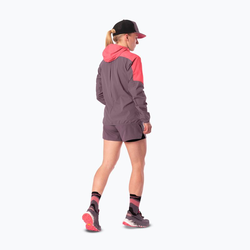 Women's running jacket DYNAFIT Alpine Wind cabana ephemera/6a90 2
