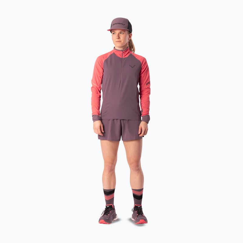 Women's running sweatshirt Dynafit Alpine LS 1/2 Zip Tee cabana/6A90 2