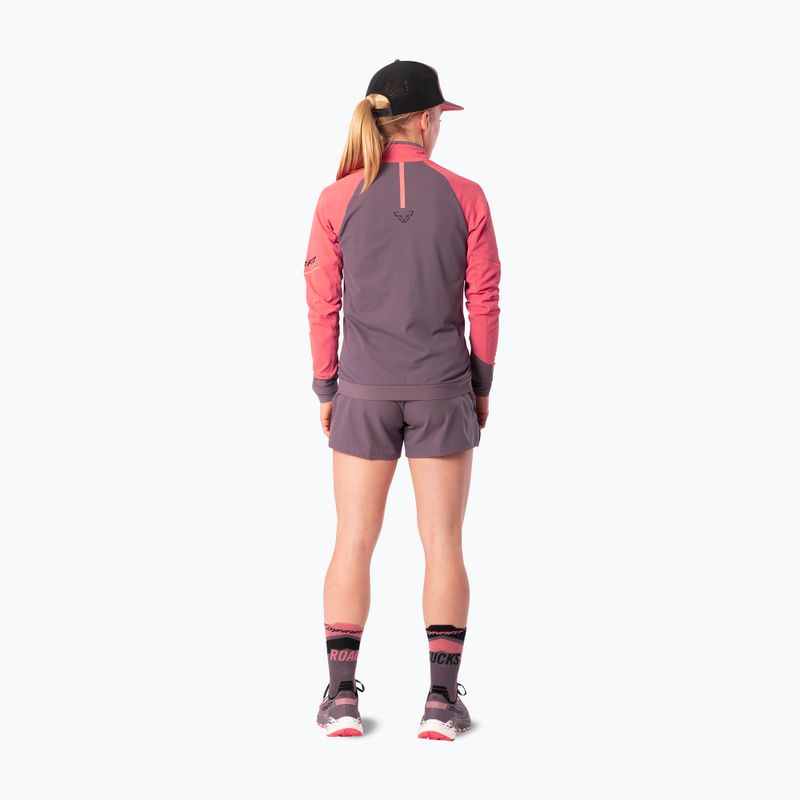Women's running sweatshirt Dynafit Alpine LS 1/2 Zip Tee cabana/6A90 3