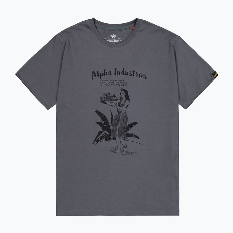 Alpha Industries men's t-shirt Hawaii vintage grey 7