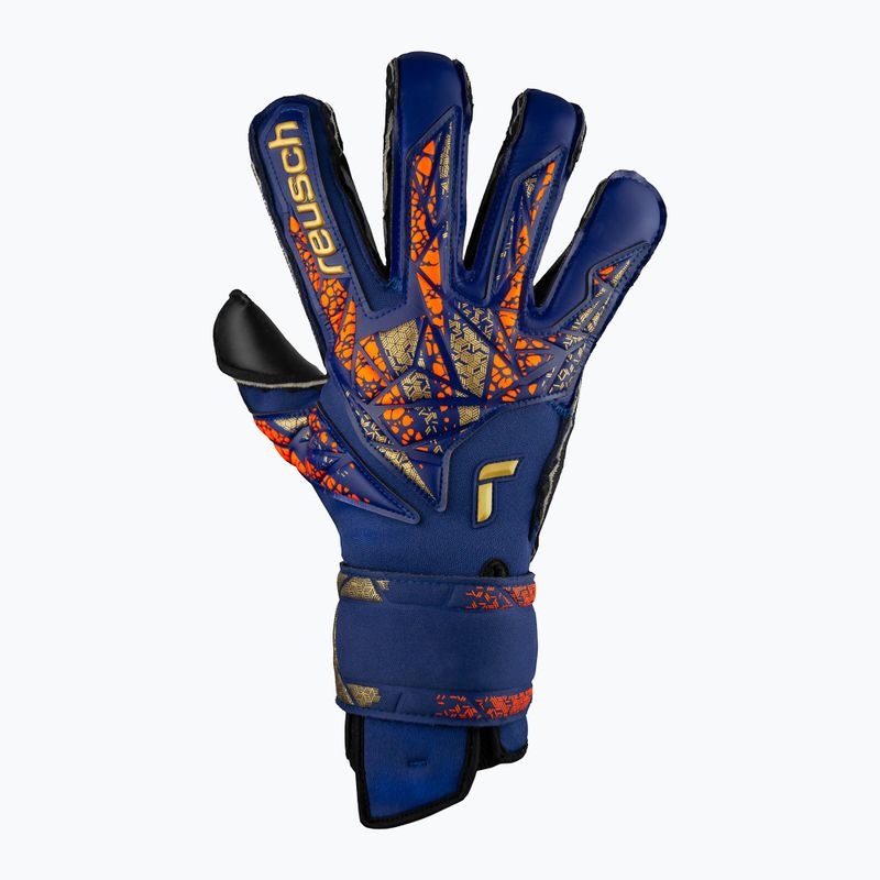 Reusch Attrakt Duo Evolution premium blue/gold/black goalie gloves 2