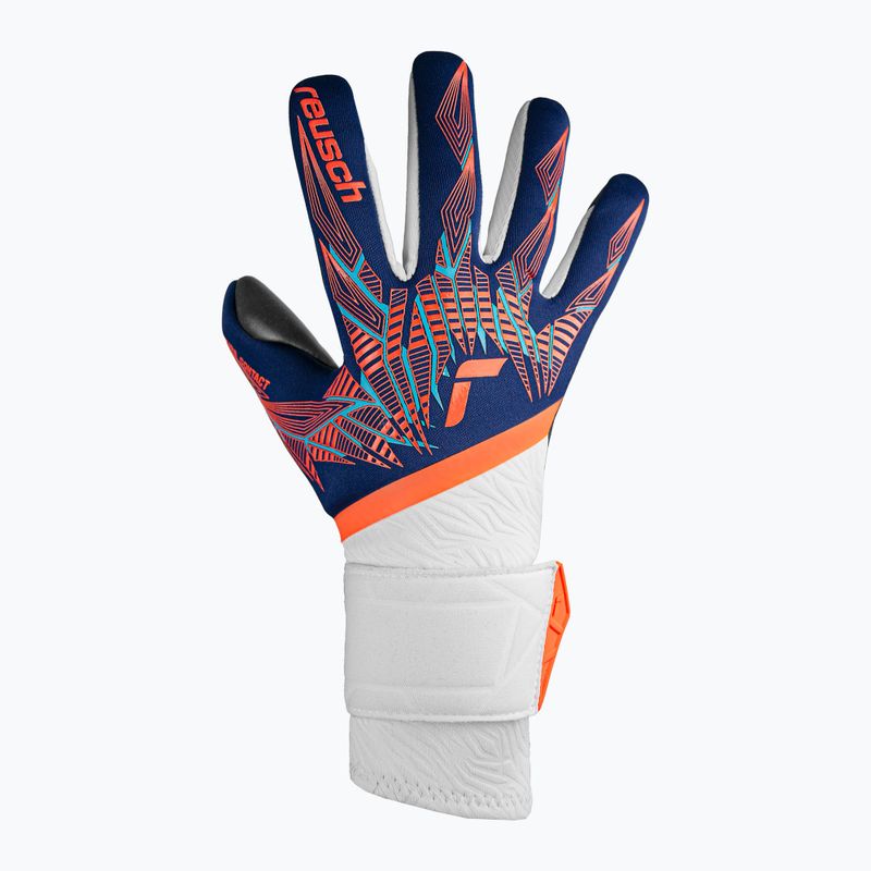 Reusch Pure Contact Gold premium blue/electric orange/black goalie gloves 2