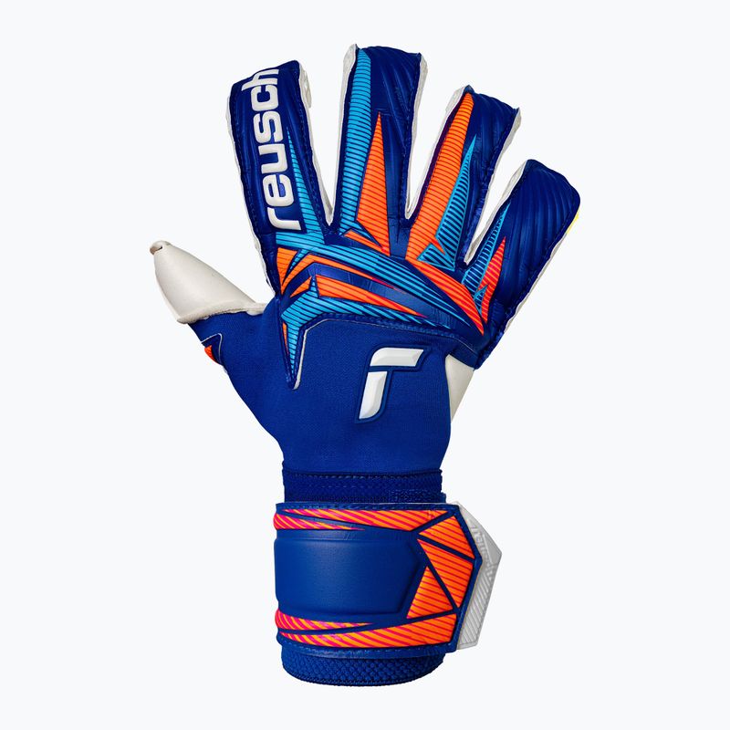 Goalkeeper gloves Reusch Attrakt Duo Evolution sharp blue/white/shocking orange 2