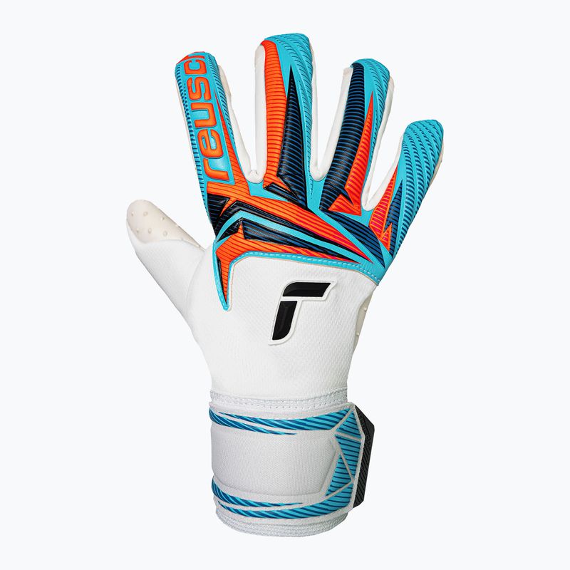 Goalkeeper gloves Reusch Attrakt SpeedBump white/light blue 2