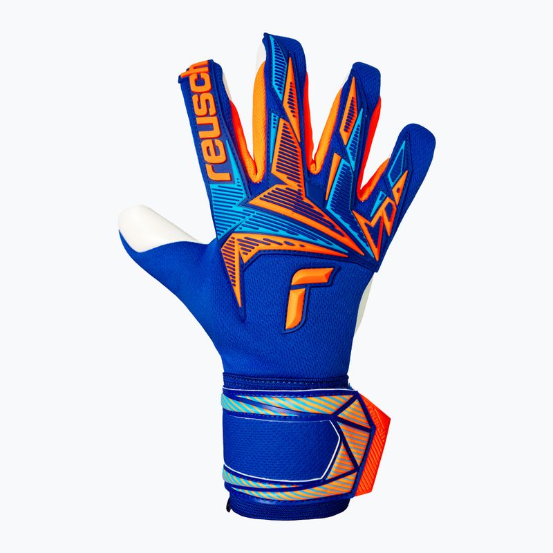 Goalkeeper gloves Reusch Attrakt Freegel Advance sharp blue/shocking orange 2