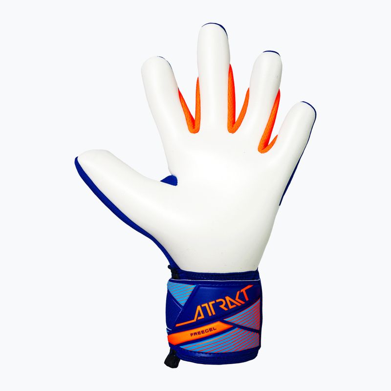 Goalkeeper gloves Reusch Attrakt Freegel Advance sharp blue/shocking orange 3