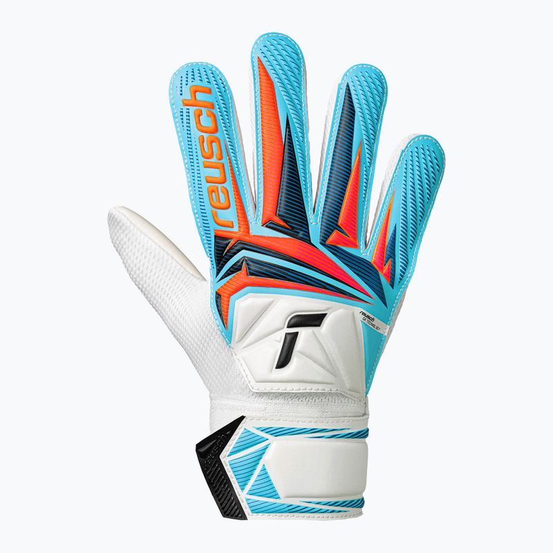 Children's goalkeeper gloves Reusch Attrakt Starter Solid Junior white/light blue 2