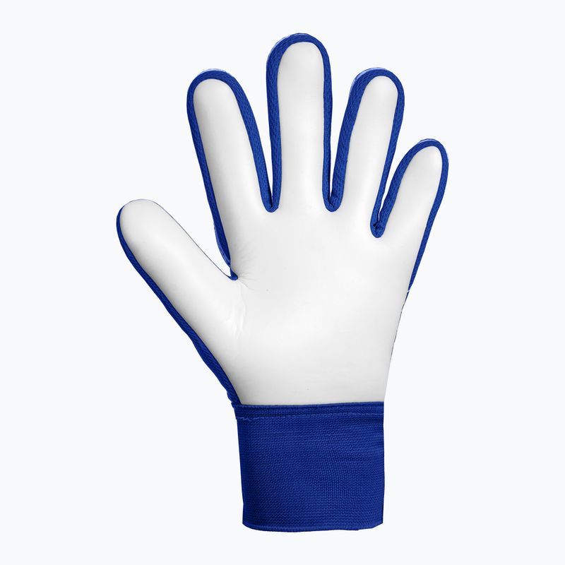 Children's goalkeeper gloves Reusch Attrakt Starter Solid Junior sharp blue/white/shocking orange 3