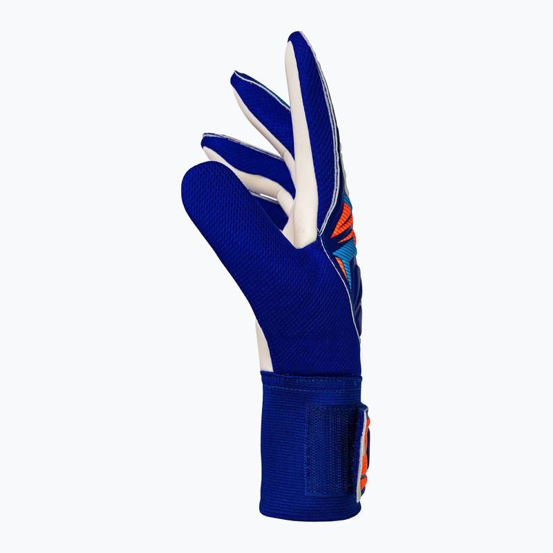 Goalkeeper gloves Reusch Attrakt Starter Solid sharp blue/white/shocking orange 4