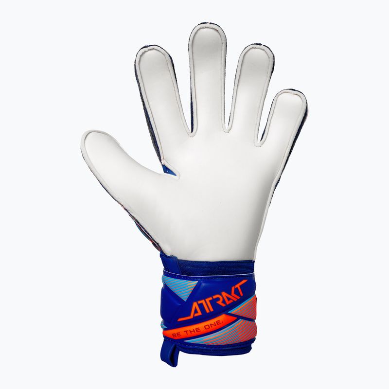 Goalkeeper gloves Reusch Attrakt Solid sharp blue/shocking orange 3