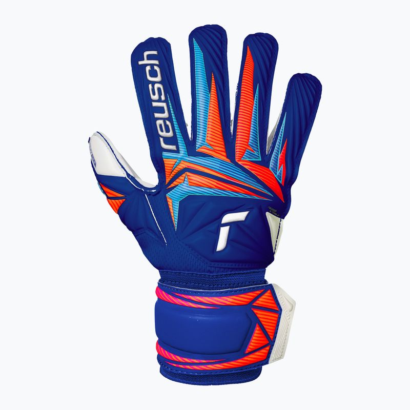 Children's goalkeeper gloves Reusch Attrakt Advance Junior sharp blue/white/shocking orange 2
