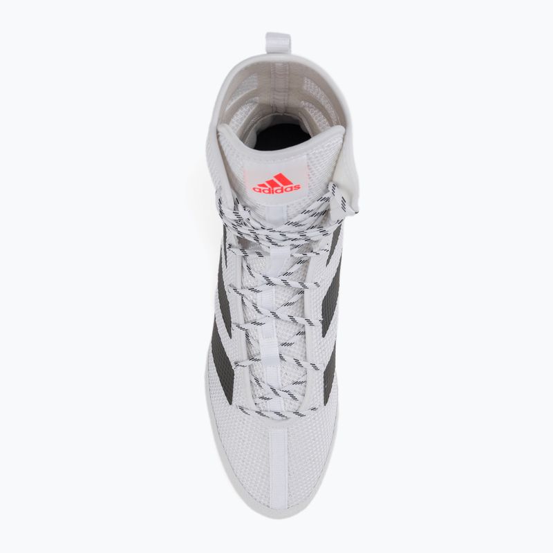 Boxing shoes adidas Box Hog 3 white and black GV9975 6