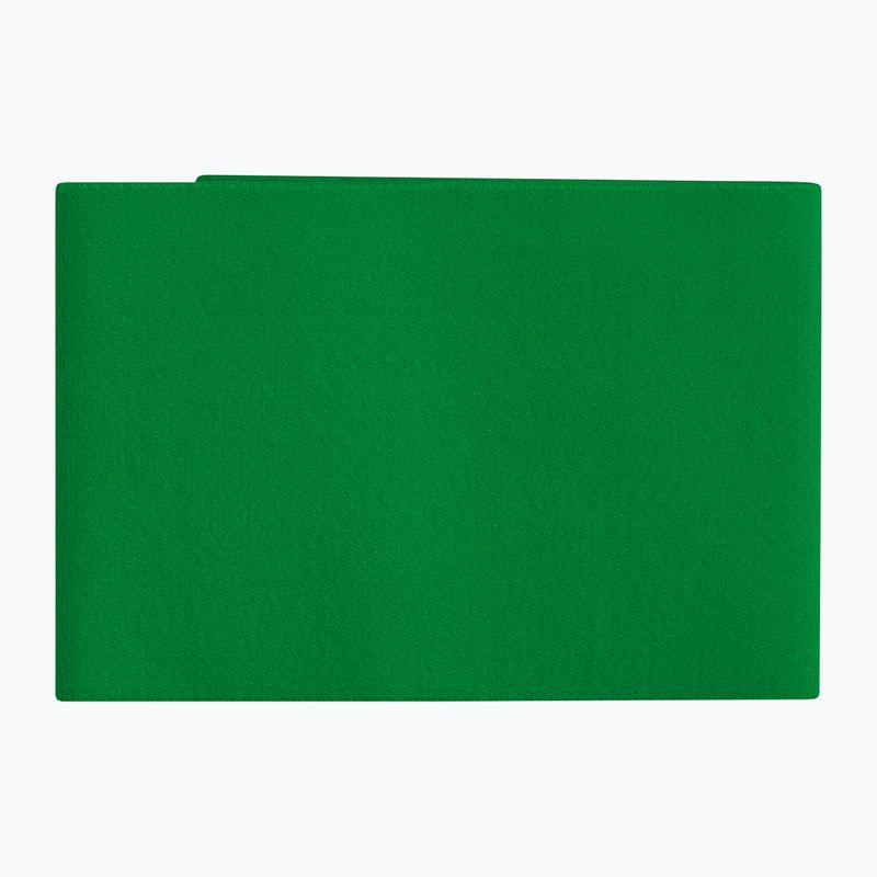 Tibia protectors straps ERIMA Guard Stays emerald 2