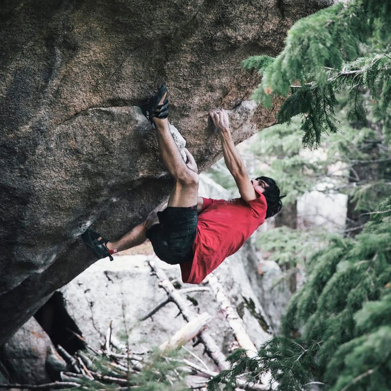 Men's climbing shoes adidas Five Ten Niad Vcs mesa/core black/cloud white 18