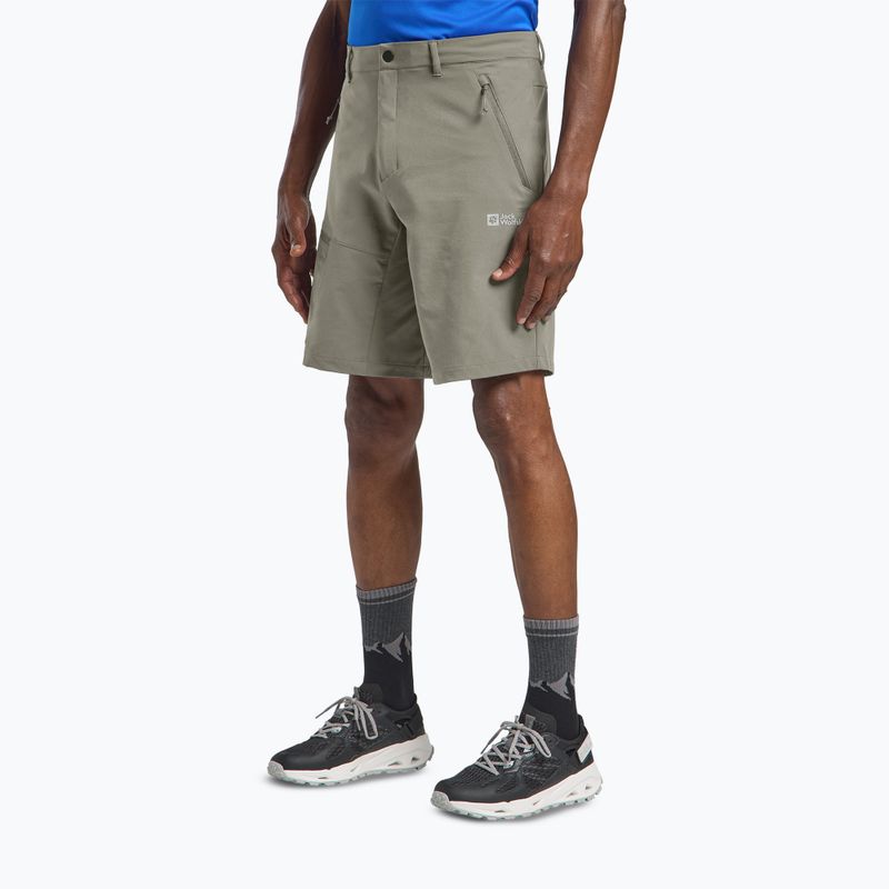 Men's trekking shorts Jack Wolfskin Pico Trail stone