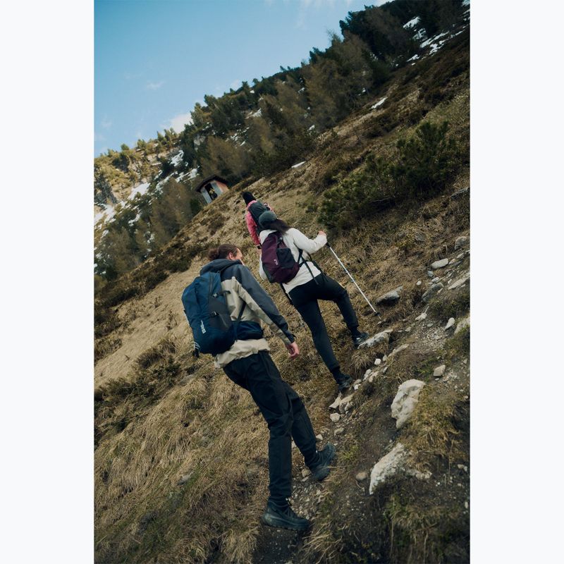 Men's hiking boots Jack Wolfskin Wild Hike Texapore Mid black 10
