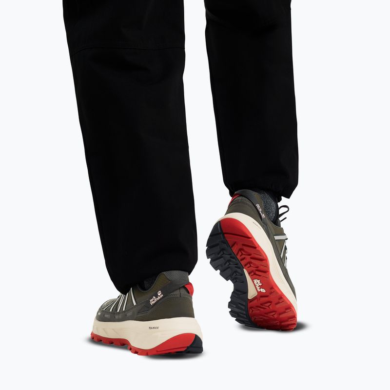 Men's hiking boots Jack Wolfskin Wild Hike Texapore Low obsidian moss 6