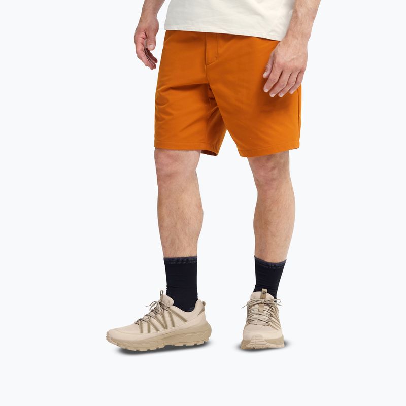 Men's hiking boots Jack Wolfskin Wild Hike Texapore Low oyster 4