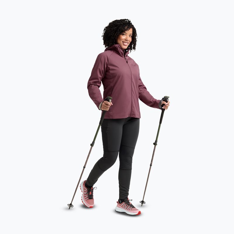 Women's hiking boots Jack Wolfskin Wild Hike Texapore Low rosegarden 6