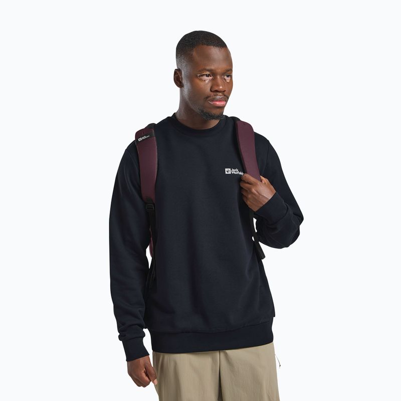 Urban backpack Jack Wolfskin Terracade 24 l amaranth 11
