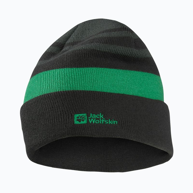 Children's winter hat Jack Wolfskin Stripy Knit slate green/mystic