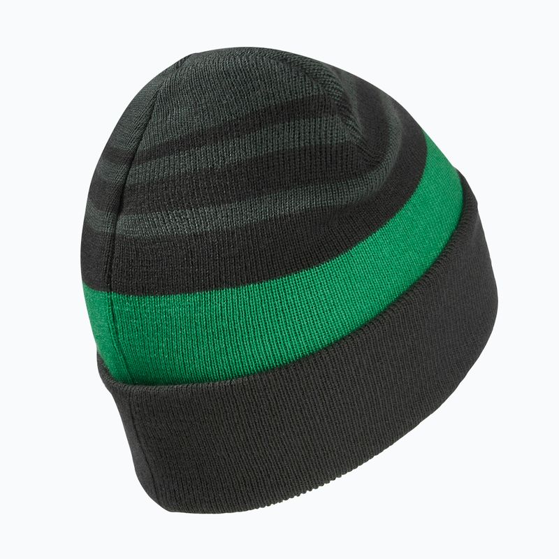 Children's winter hat Jack Wolfskin Stripy Knit slate green/mystic 2