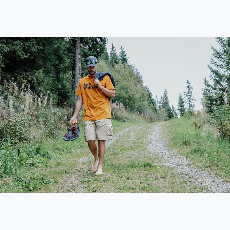 Men's sandals Jack Wolfskin Taiga dark mahogany 7