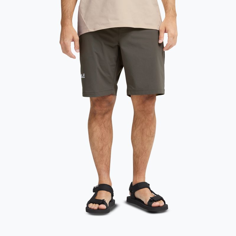 Men's sandals Jack Wolfskin Taiga black 7