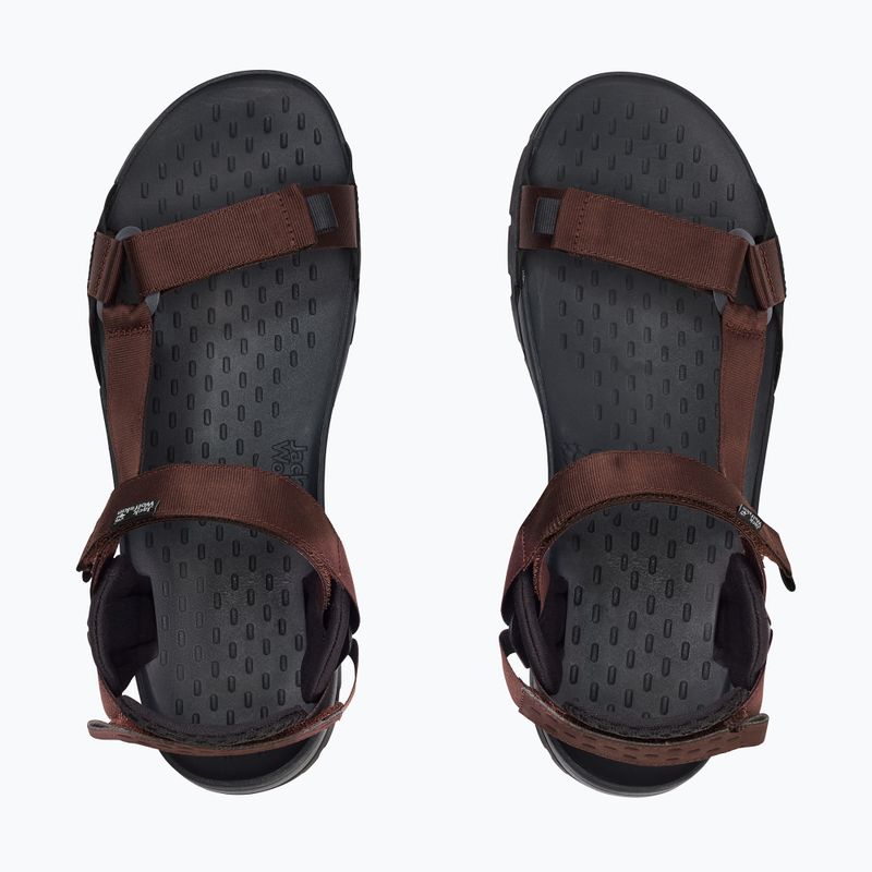Men's sandals Jack Wolfskin Ridge dark mahogany 6