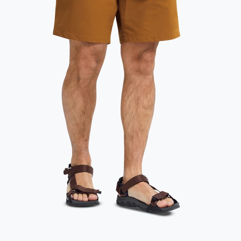 Men's sandals Jack Wolfskin Ridge dark mahogany 7