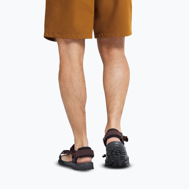 Men's sandals Jack Wolfskin Ridge dark mahogany 9