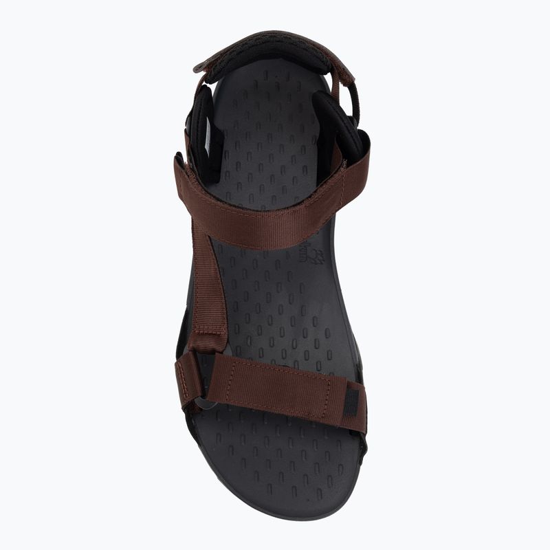 Men's sandals Jack Wolfskin Ridge dark mahogany 5