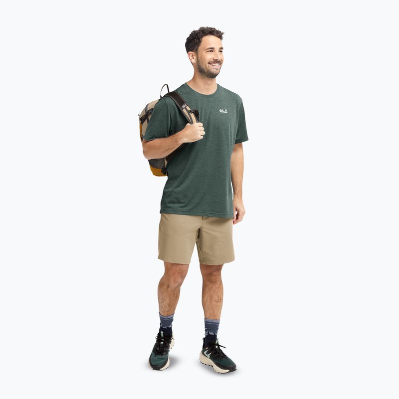 Men's trekking shorts Jack Wolfskin Pico hazel wood 2