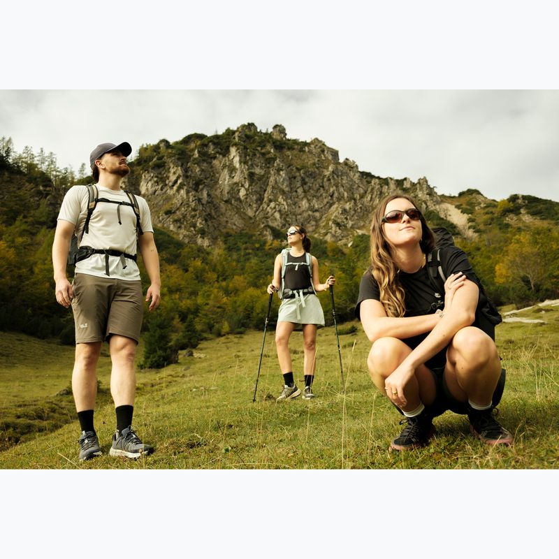 Hiking backpack Jack Wolfskin Astro Vent 30 l hazel wood 20