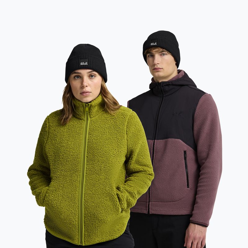 Winter hat Jack Wolfskin Pergamon Beanie black 4