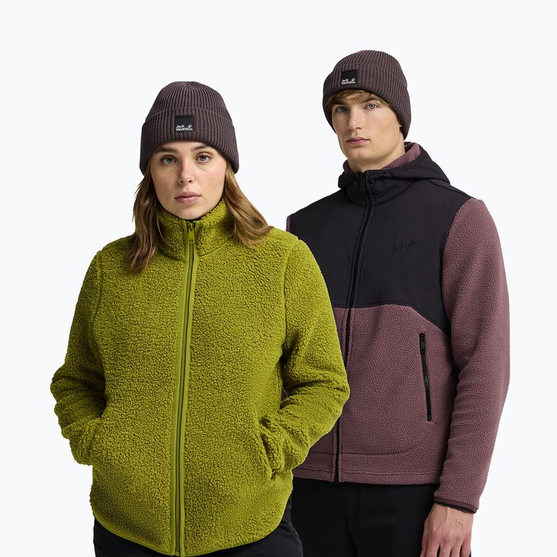 Winter hat Jack Wolfskin Pergamon Beanie sheer plum 4