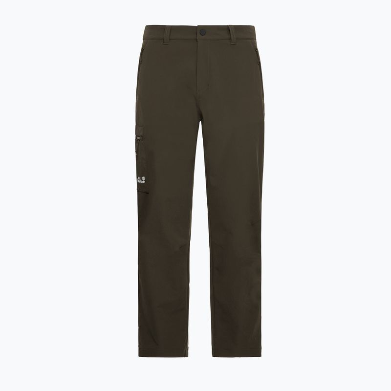 Men's trekking trousers Jack Wolfskin Activate Flex obsidian moss 7
