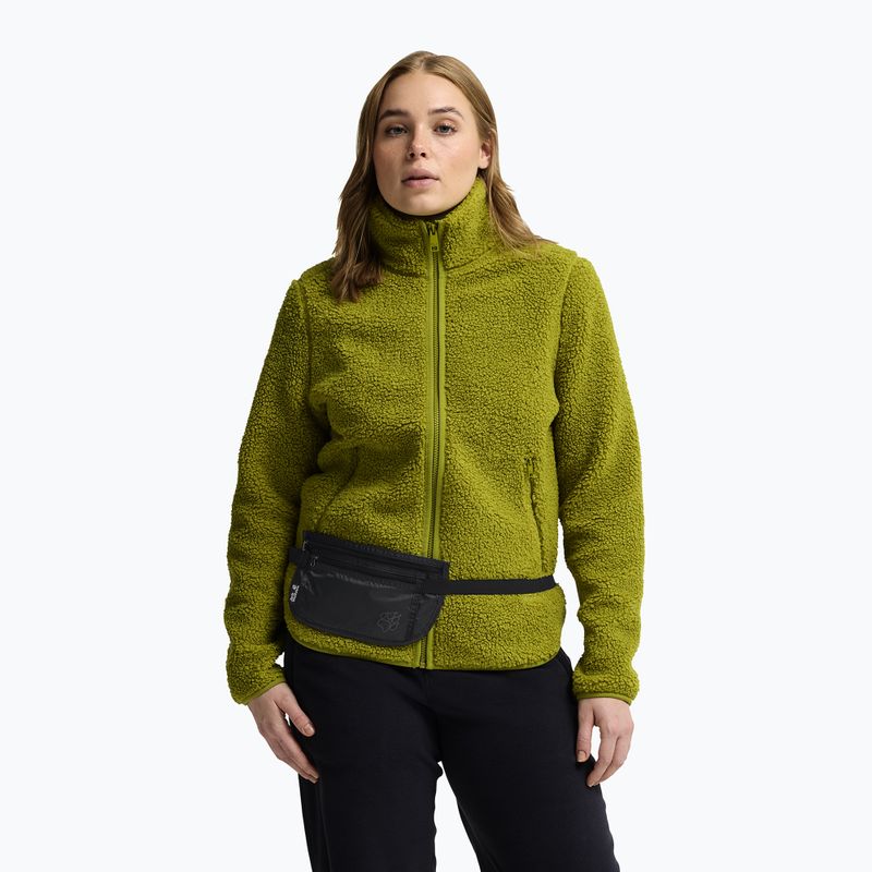 Waist bag Jack Wolfskin Document Belt De Luxe phantom 9