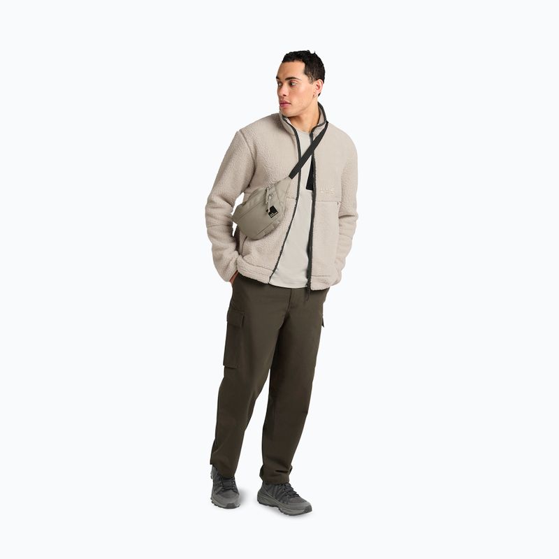 Men's fleece sweatshirt Jack Wolfskin Stone Lite oyster 2