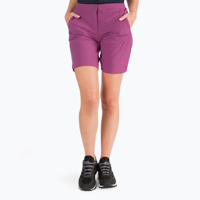 Jack Wolfskin Hilltop Trail women's trekking shorts purple 1505461_2094