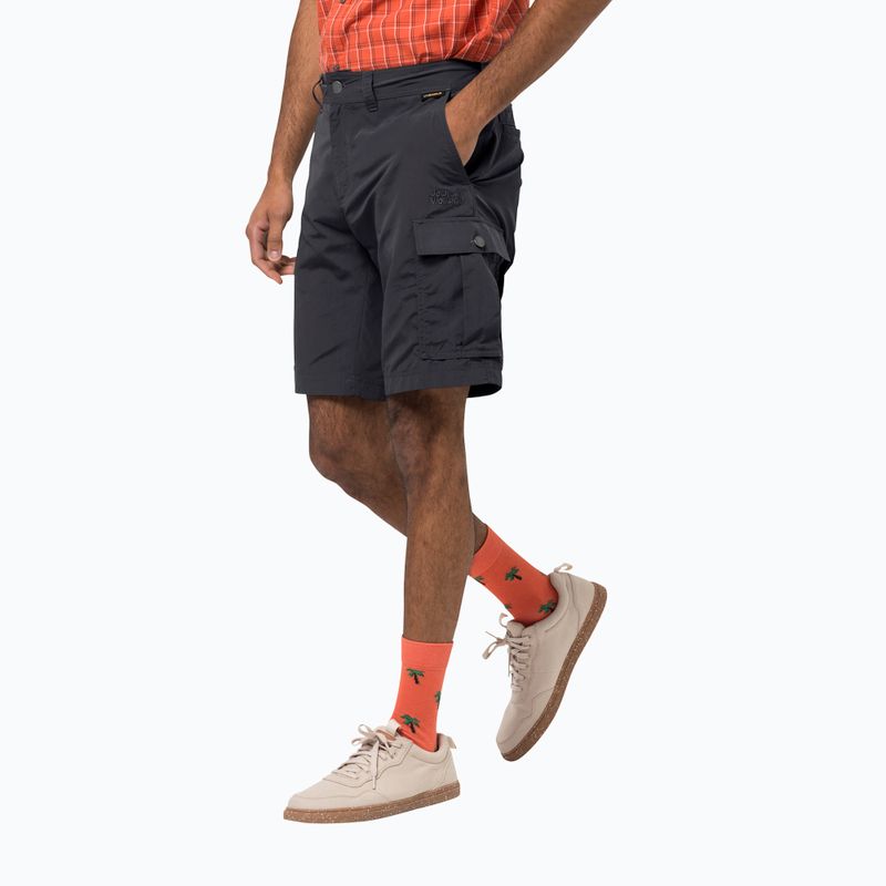 Jack Wolfskin men's trekking shorts Canyon Cargo grey 1504201_6168
