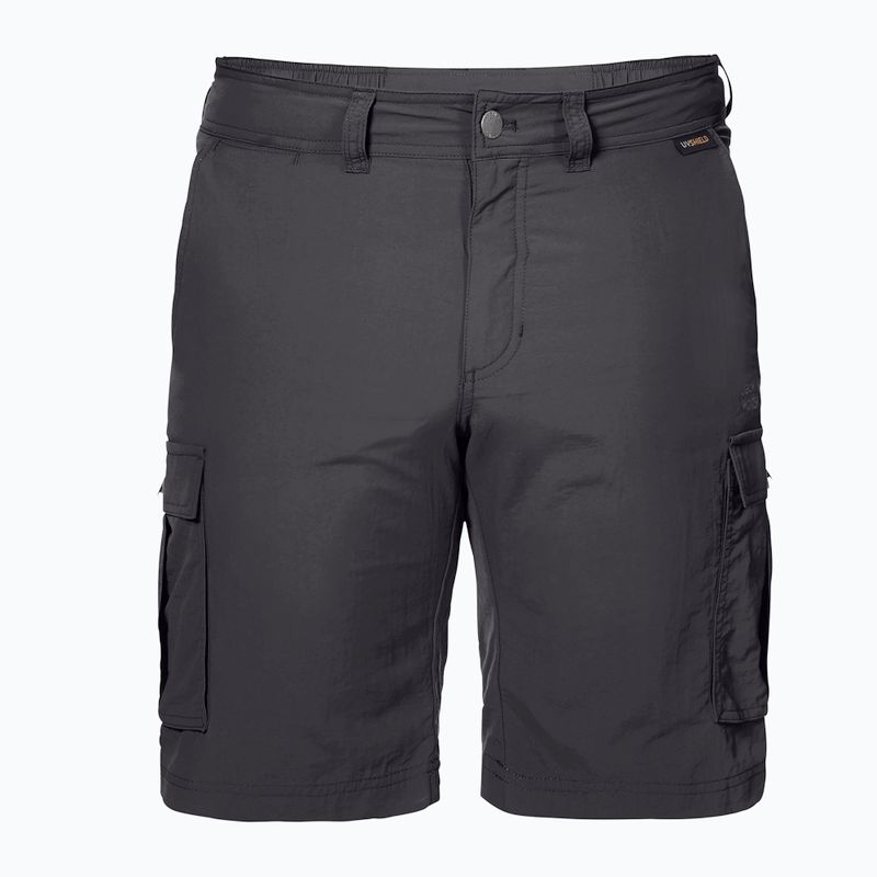 Jack Wolfskin men's trekking shorts Canyon Cargo grey 1504201_6168 5