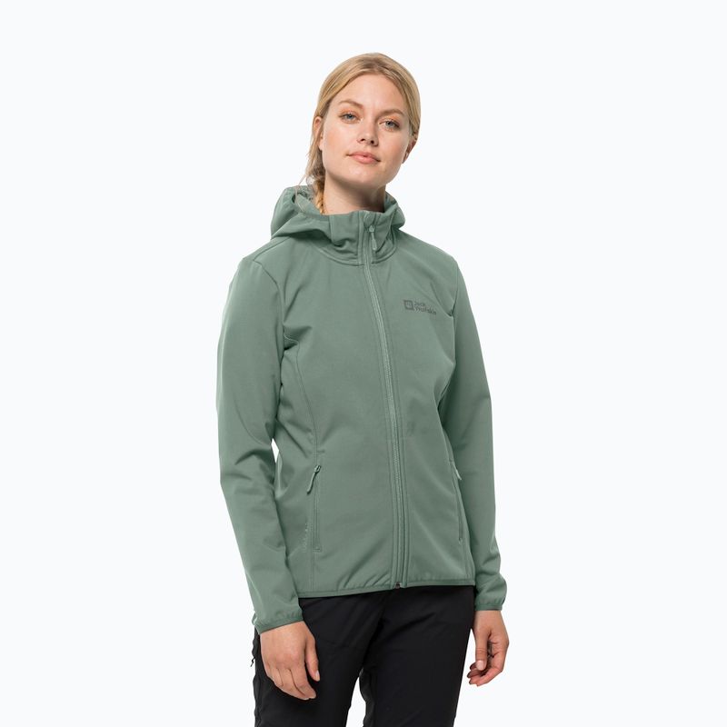 Women's softshell jacket Jack Wolfskin Bornberg Hoody green 1307691