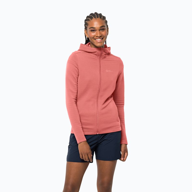 Women's trekking jacket Jack Wolfskin Modesto Hooded pink 1706254